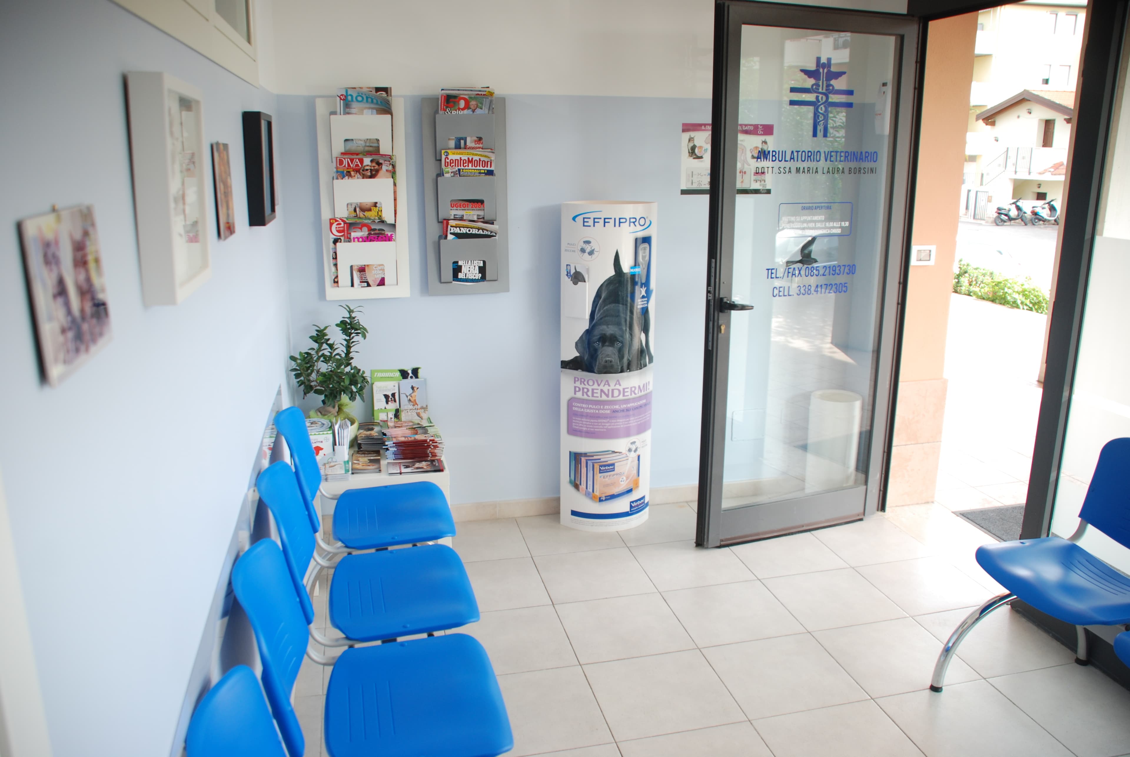 Interno Ambulatorio Veterinario